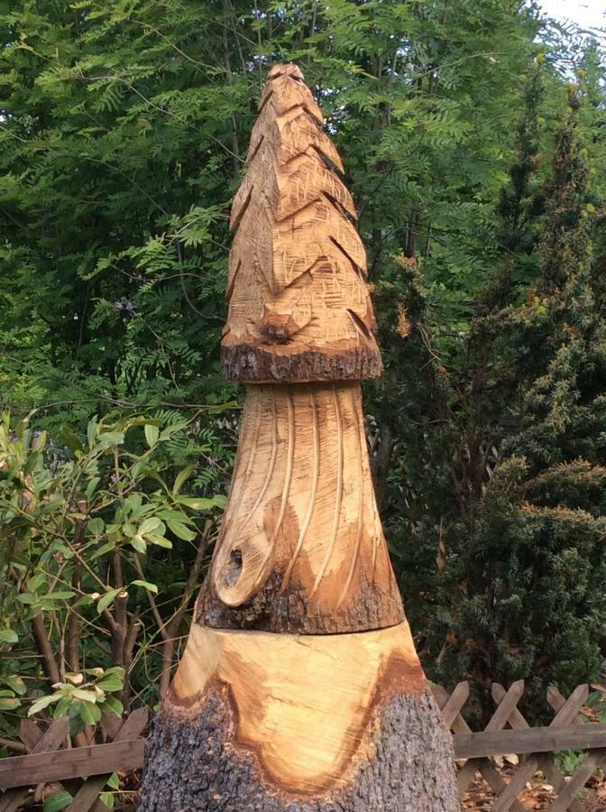 Huettenflair Am See Mit Kamin Clausthal-Zellerfeld Kültér fotó
